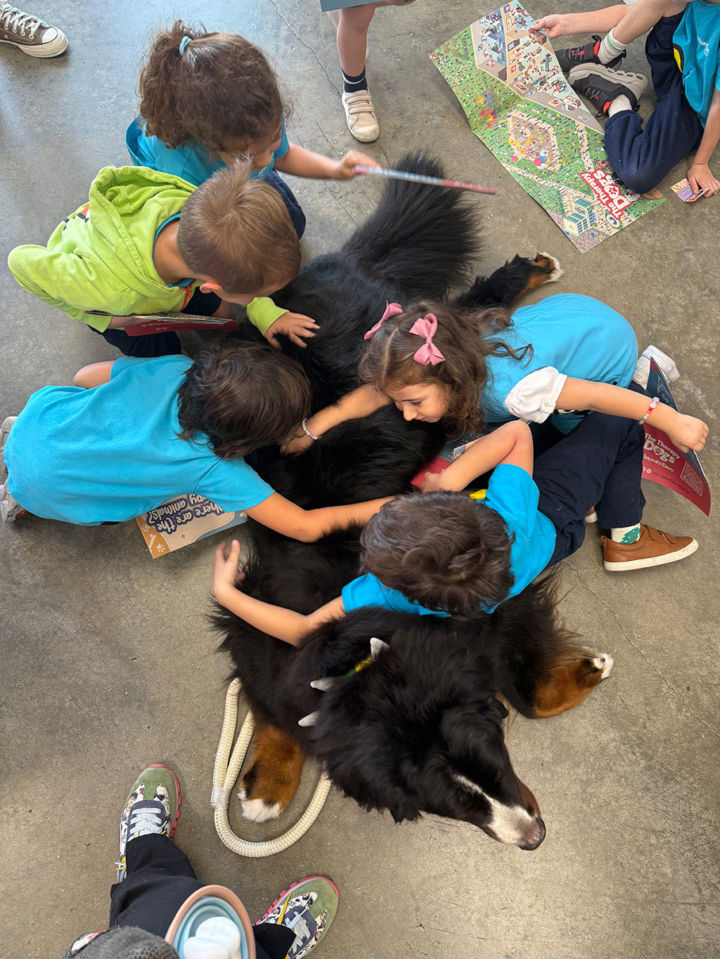 Aguamarina Pre School, 2025 | Alexandra Ramos Therapy Animals