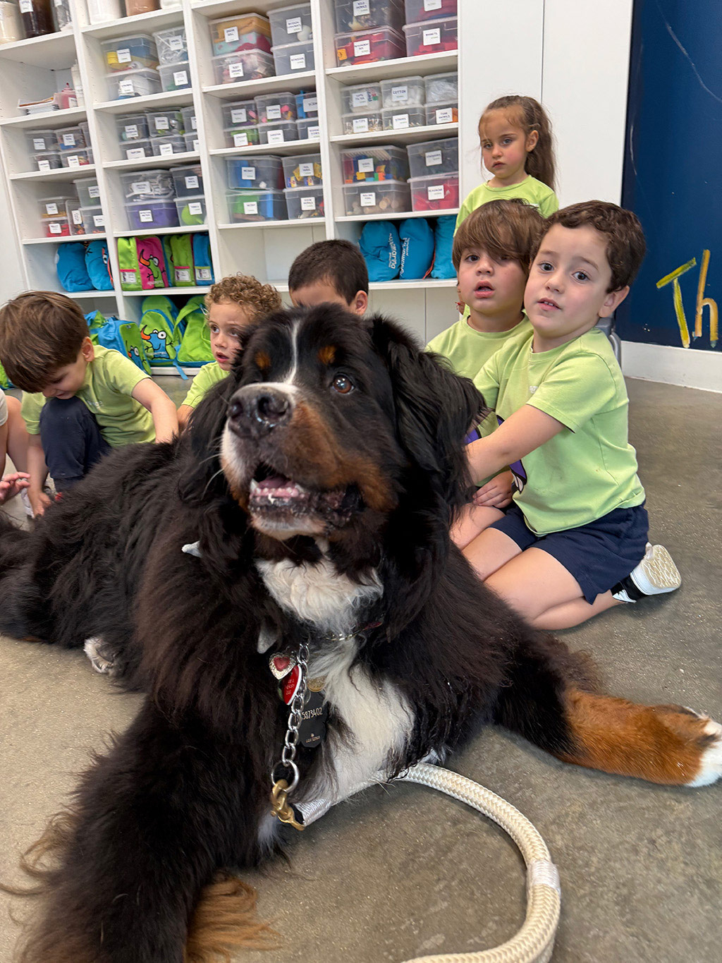 Aguamarina Pre School, 2025 | Alexandra Ramos Therapy Animals