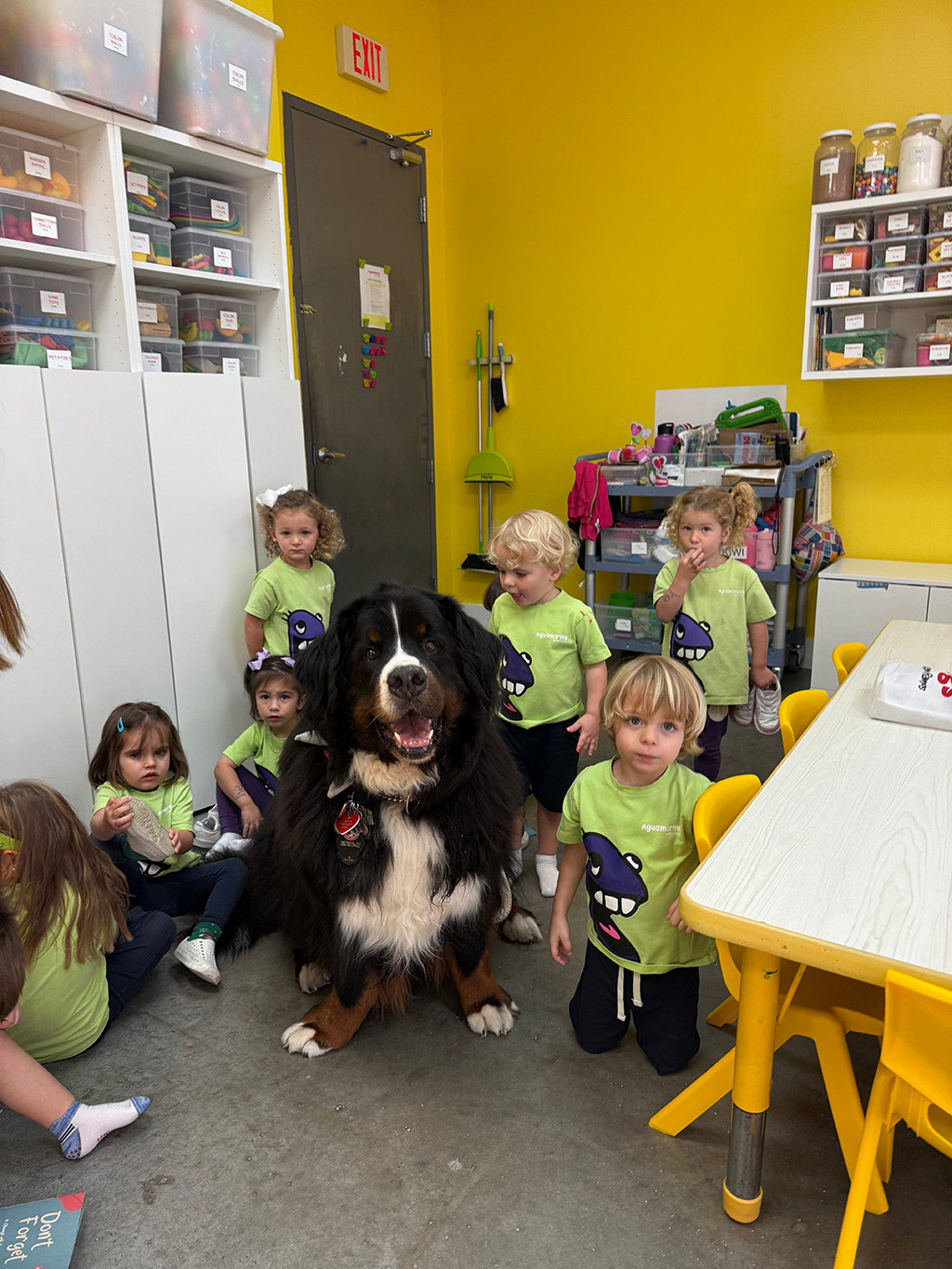 Aguamarina Pre School, 2025 | Alexandra Ramos Therapy Animals