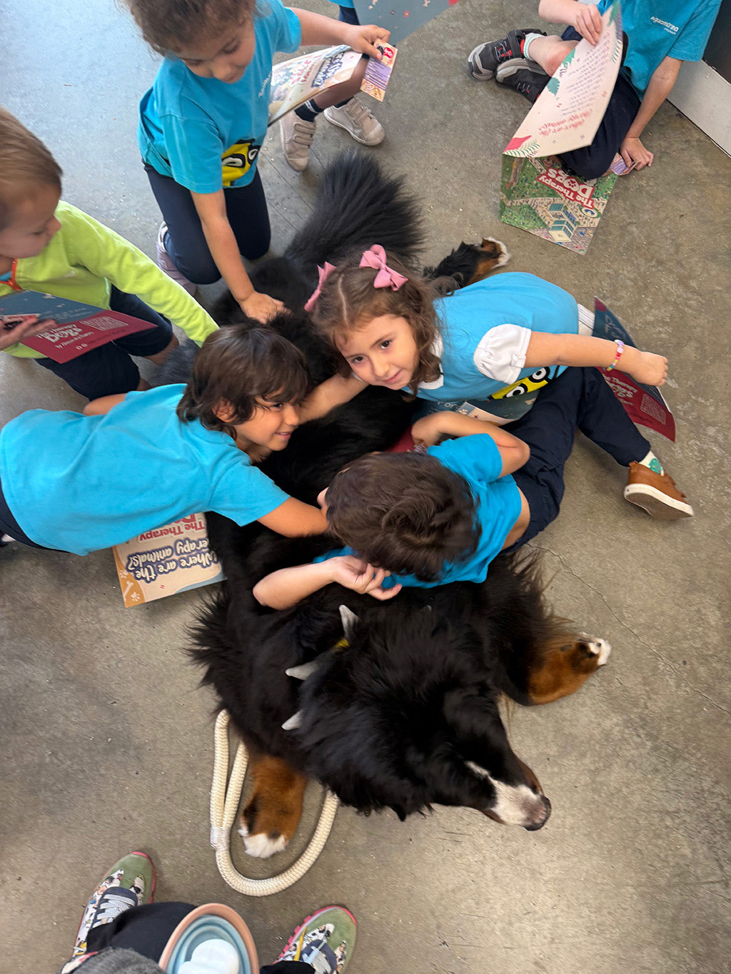 Aguamarina Pre School, 2025 | Alexandra Ramos Therapy Animals