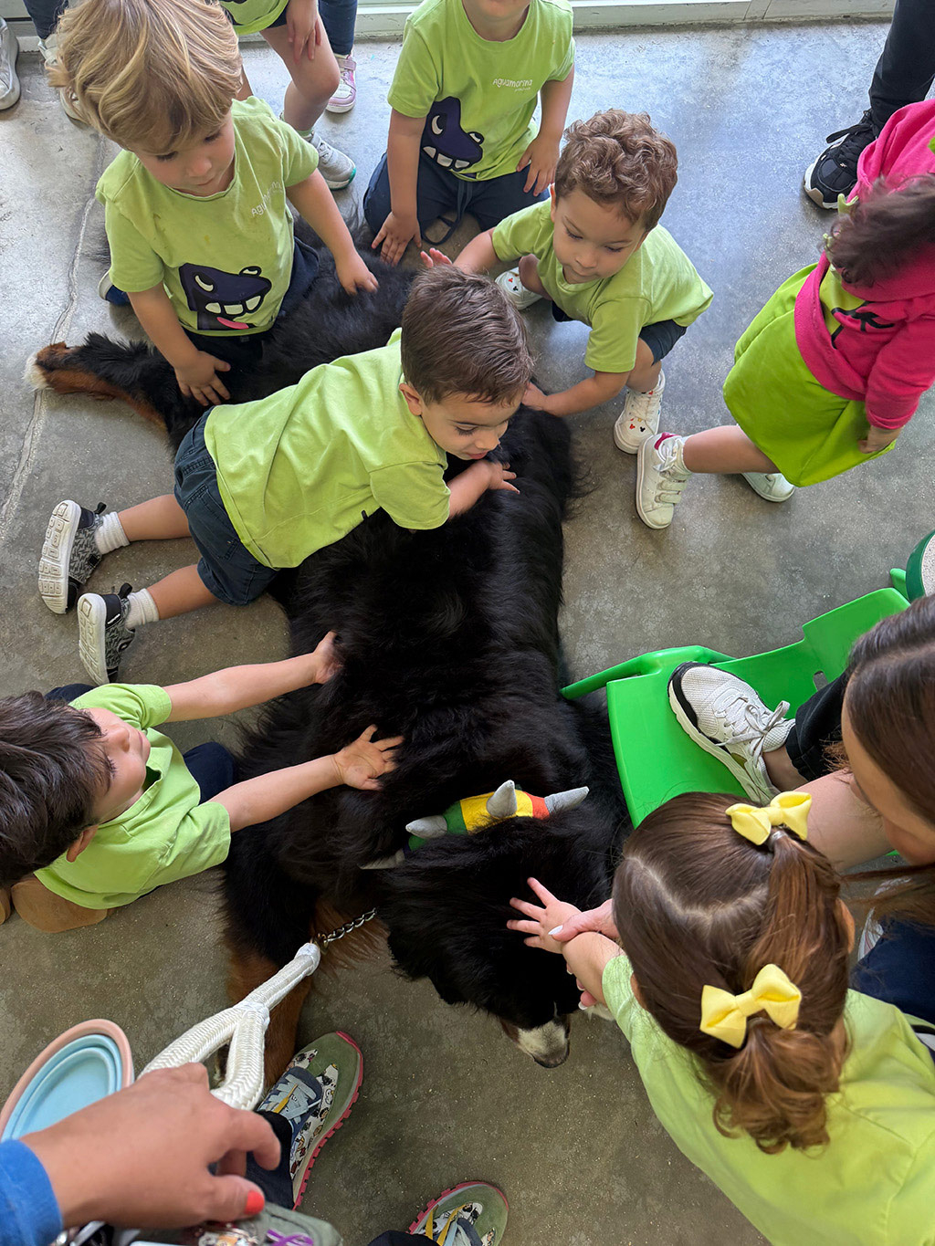 Aguamarina Pre School, 2025 | Alexandra Ramos Therapy Animals