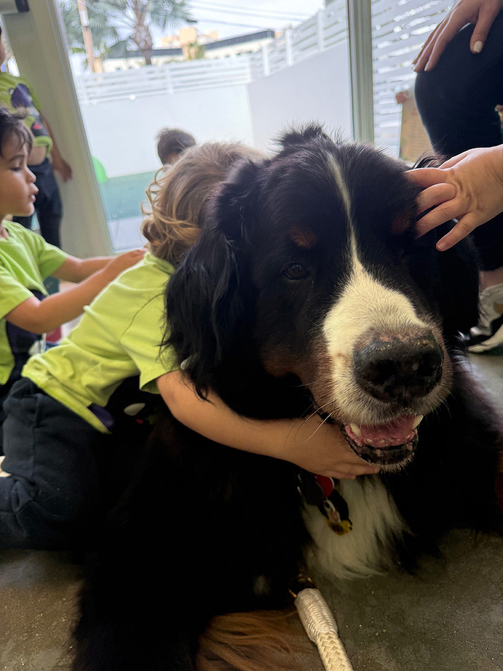 Aguamarina Pre School, 2025 | Alexandra Ramos Therapy Animals