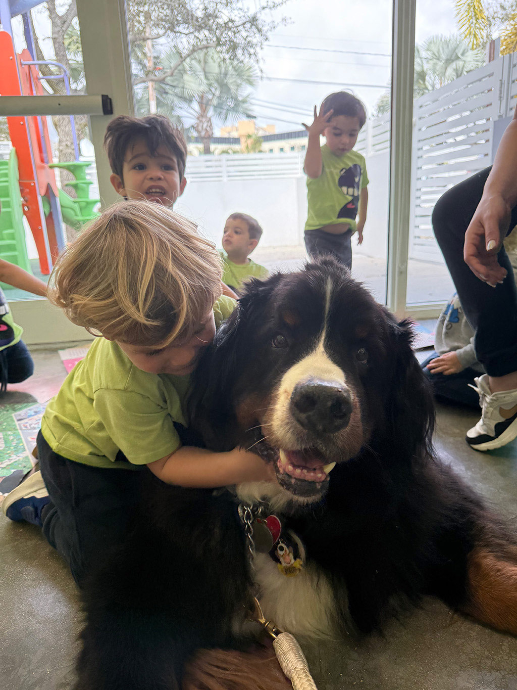 Aguamarina Pre School, 2025 | Alexandra Ramos Therapy Animals