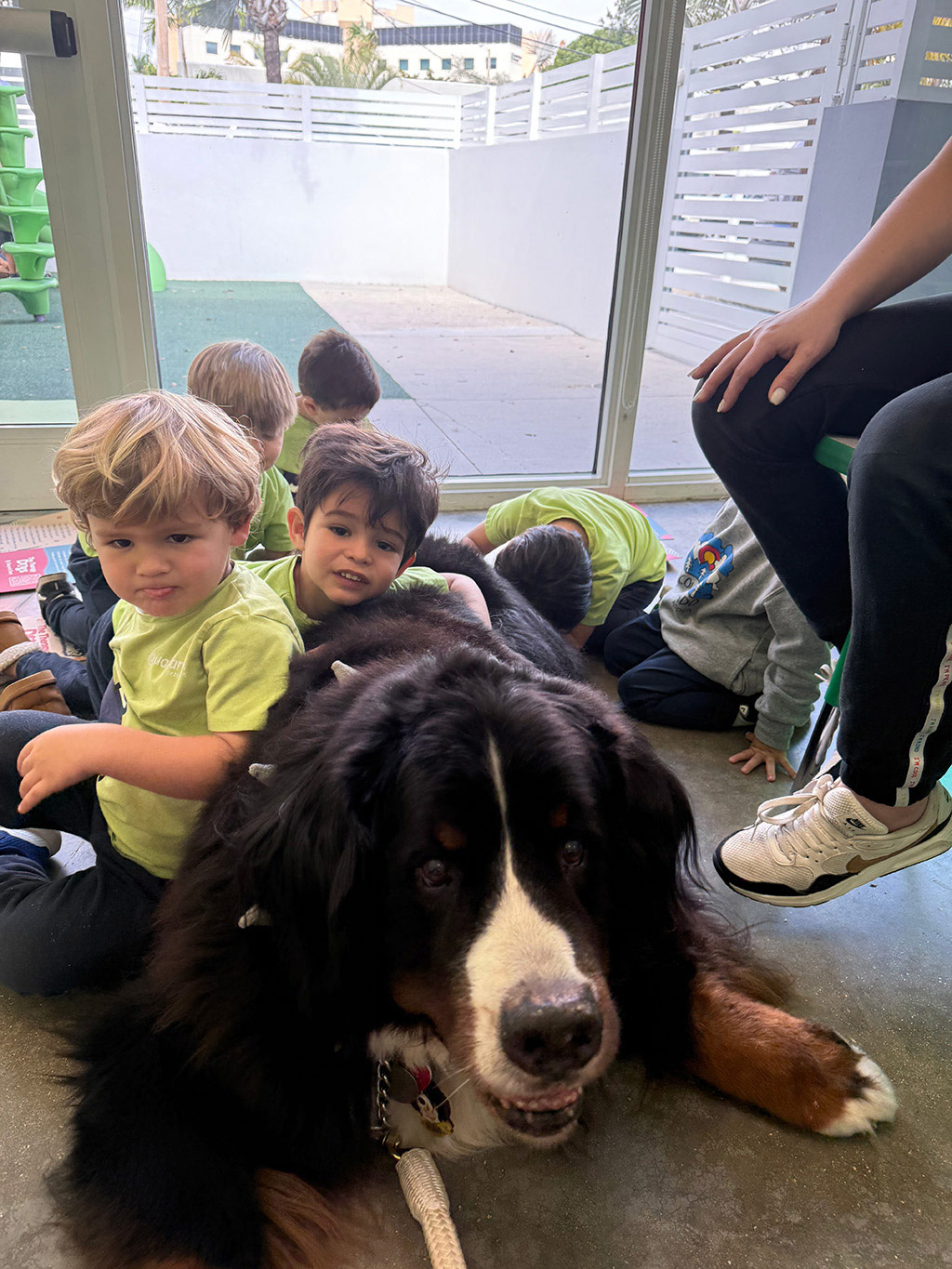 Aguamarina Pre School, 2025 | Alexandra Ramos Therapy Animals