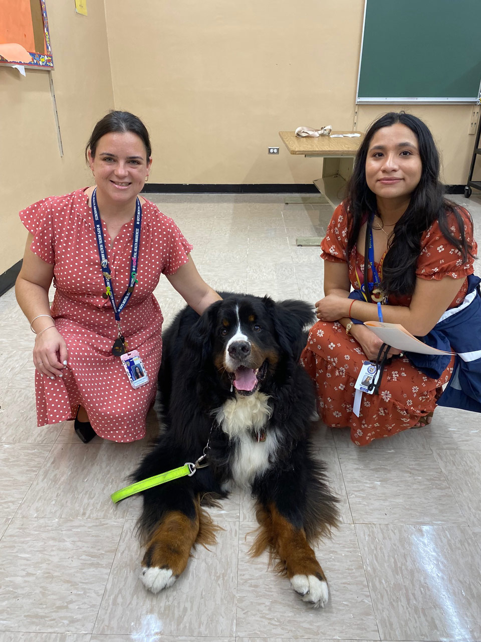 Apollo visits at Hialeah School with Meraki - Sep 23, 2024 | Alexandra Ramos Therapy Animals