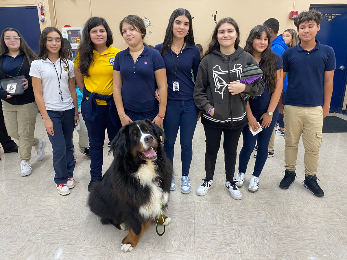 Apollo visits at Hialeah School with Meraki - Sep 23, 2024 | Alexandra Ramos Therapy Animals
