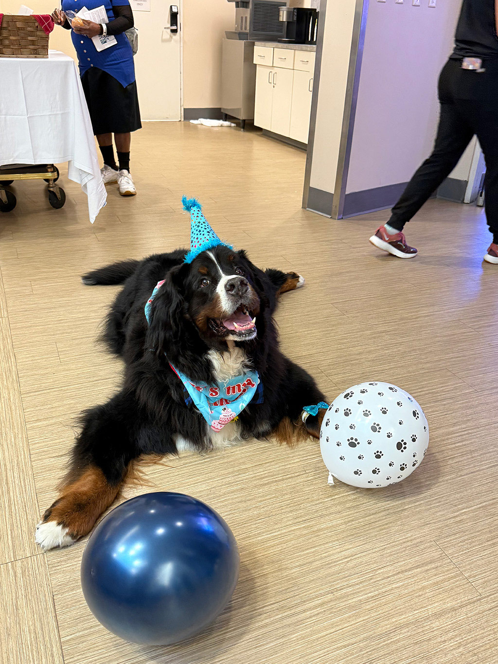  April 23, 2025 | Alexandra Ramos Therapy Animals