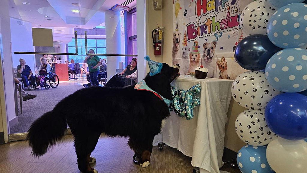  April 23, 2025 | Alexandra Ramos Therapy Animals