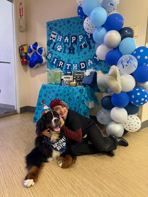 Apollo’s Birthday at Mount Sinai Hospital - April 23, 2024 | Alexandra Ramos Therapy Animals