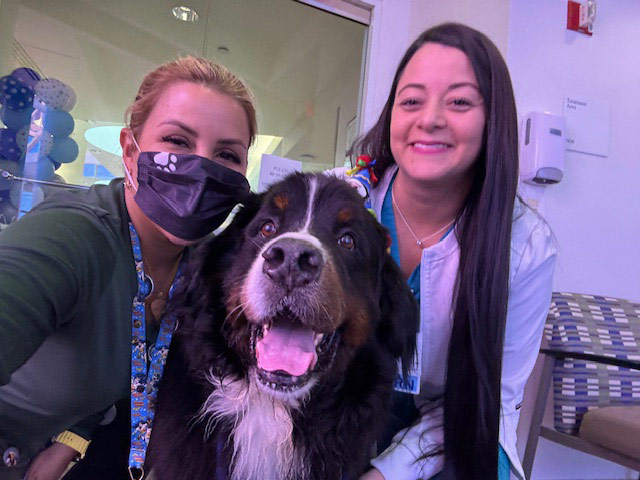 Apollo’s Birthday at Mount Sinai Hospital - April 23, 2024 | Alexandra Ramos Therapy Animals