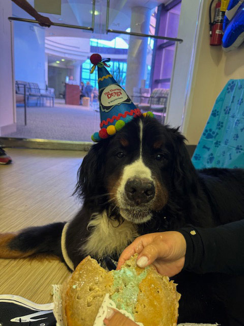 Apollo’s Birthday at Mount Sinai Hospital - April 23, 2024 | Alexandra Ramos Therapy Animals