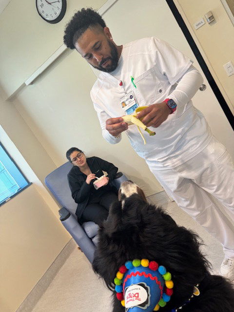 Apollo’s Birthday at Mount Sinai Hospital - April 23, 2024 | Alexandra Ramos Therapy Animals