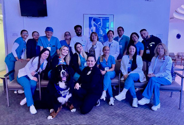 Apollo’s Birthday at Mount Sinai Hospital - April 23, 2024 | Alexandra Ramos Therapy Animals