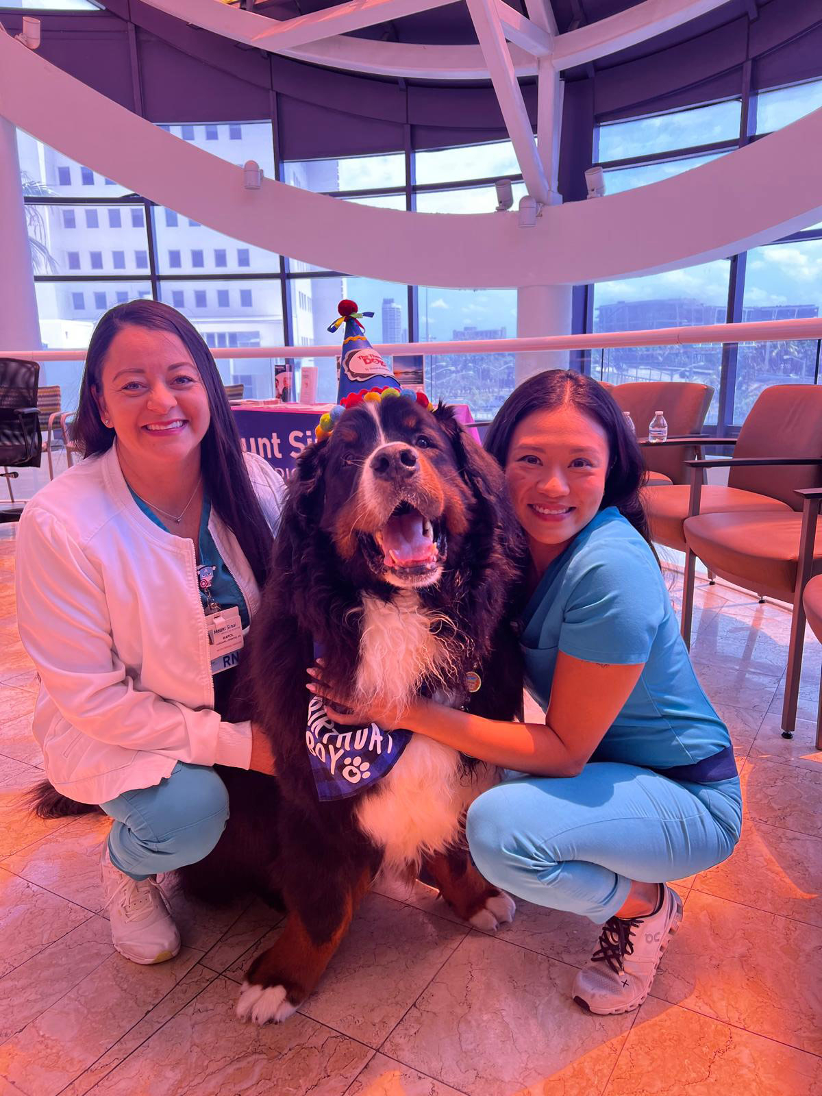 Apollo’s Birthday at Mount Sinai Hospital - April 23, 2024 | Alexandra Ramos Therapy Animals