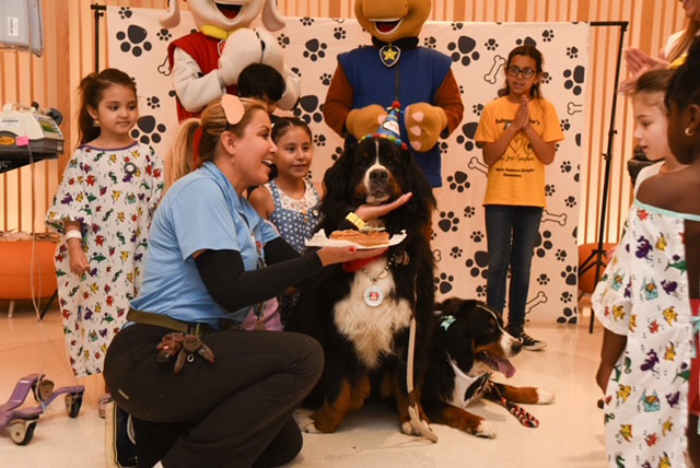 Apollo’s Birthday at Nicklaus Children’s Hospital - April 24, 2024 | Alexandra Ramos Therapy Animals