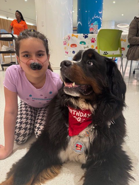 Apollo’s Birthday at Nicklaus Children’s Hospital - April 24, 2024 | Alexandra Ramos Therapy Animals