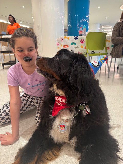 Apollo’s Birthday at Nicklaus Children’s Hospital - April 24, 2024 | Alexandra Ramos Therapy Animals