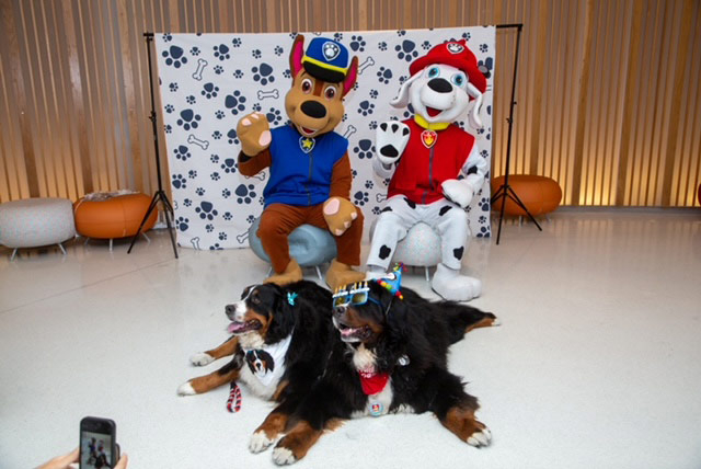 Apollo’s Birthday at Nicklaus Children’s Hospital - April 24, 2024 | Alexandra Ramos Therapy Animals