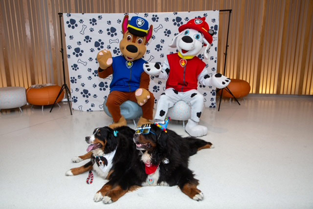 Apollo’s Birthday at Nicklaus Children’s Hospital - April 24, 2024 | Alexandra Ramos Therapy Animals