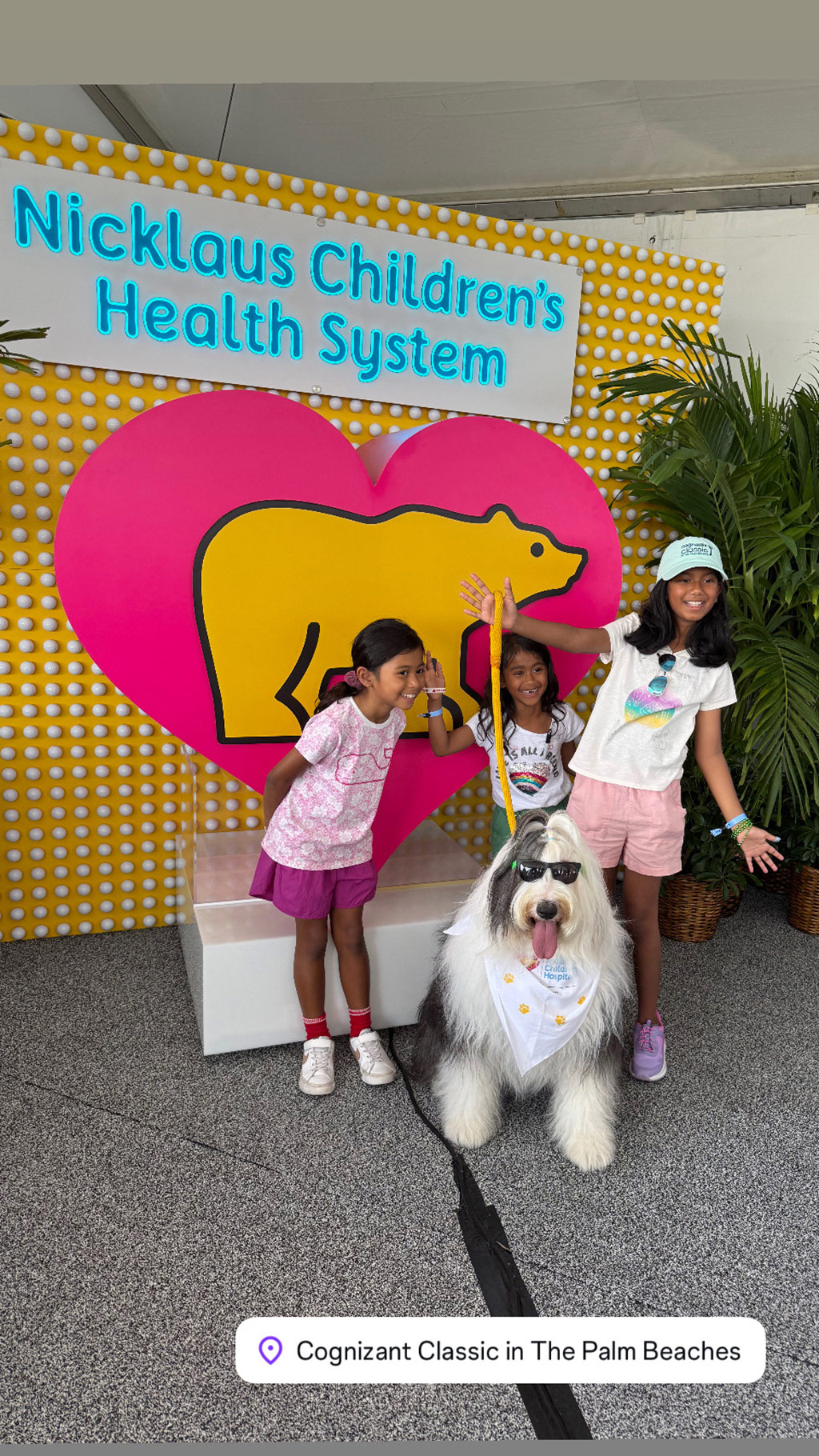  March 1, 2025 | Alexandra Ramos Therapy Animals