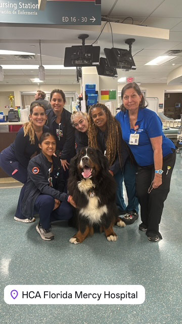Night shift Marcy Hospital visit by Thor + Apollo - August 2024 | Alexandra Ramos Therapy Animals