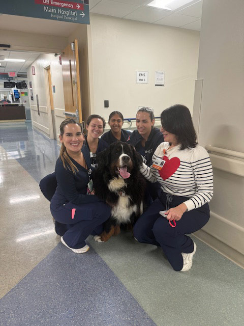 Night shift Marcy Hospital visit by Thor + Apollo - August 2024 | Alexandra Ramos Therapy Animals