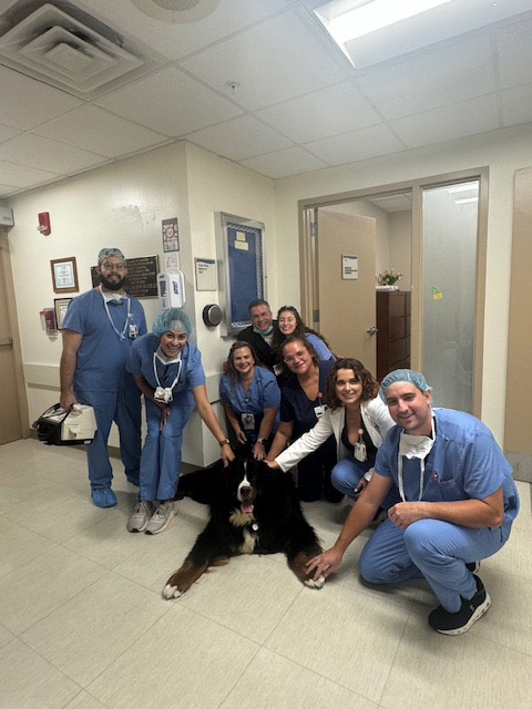 Night shift Marcy Hospital visit by Thor + Apollo - August 2024 | Alexandra Ramos Therapy Animals