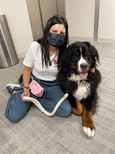 Night shift Marcy Hospital visit by Thor + Apollo - August 2024 | Alexandra Ramos Therapy Animals
