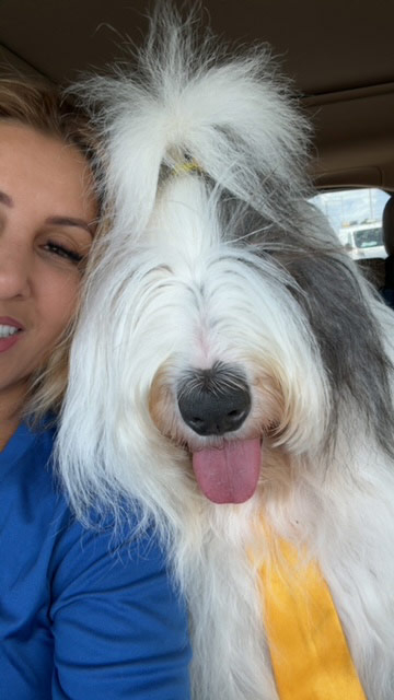 Night shift Marcy Hospital visit by Thor + Apollo - August 2024 | Alexandra Ramos Therapy Animals