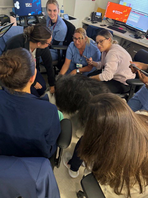 Night shift Marcy Hospital visit by Thor + Apollo - August 2024 | Alexandra Ramos Therapy Animals