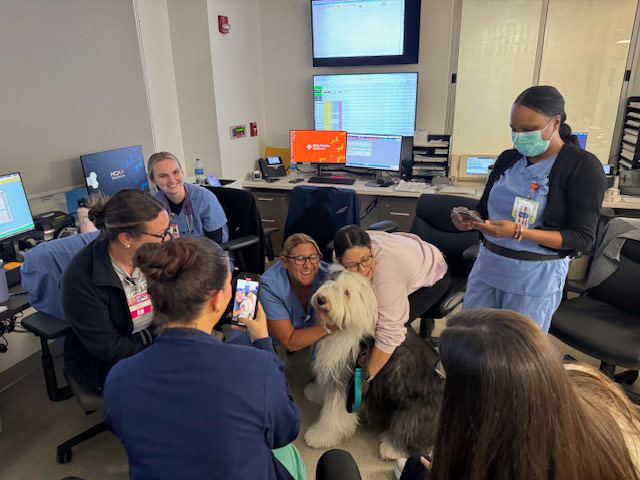 Night shift Marcy Hospital visit by Thor + Apollo - August 2024 | Alexandra Ramos Therapy Animals