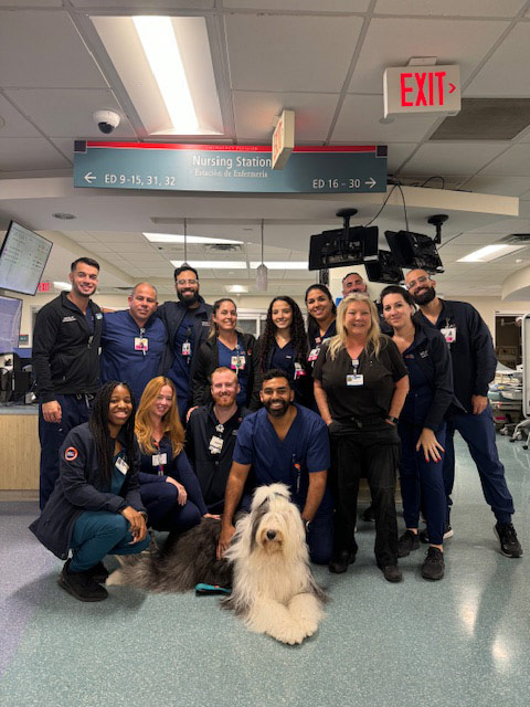 Night shift Marcy Hospital visit by Thor + Apollo - August 2024 | Alexandra Ramos Therapy Animals