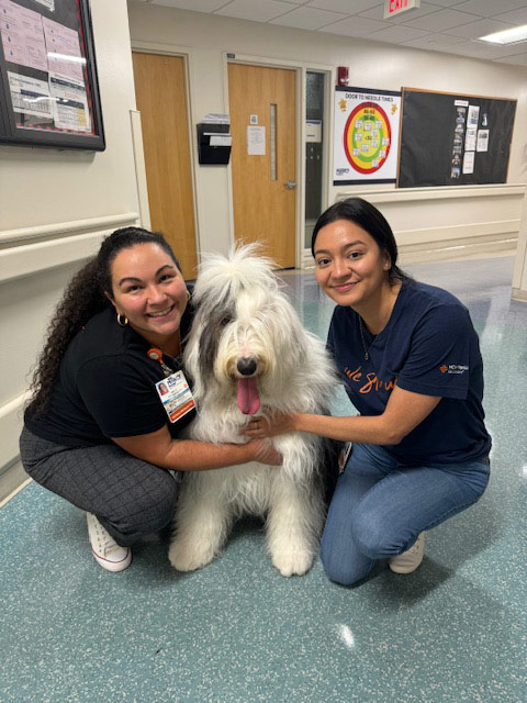 Night shift Marcy Hospital visit by Thor + Apollo - August 2024 | Alexandra Ramos Therapy Animals