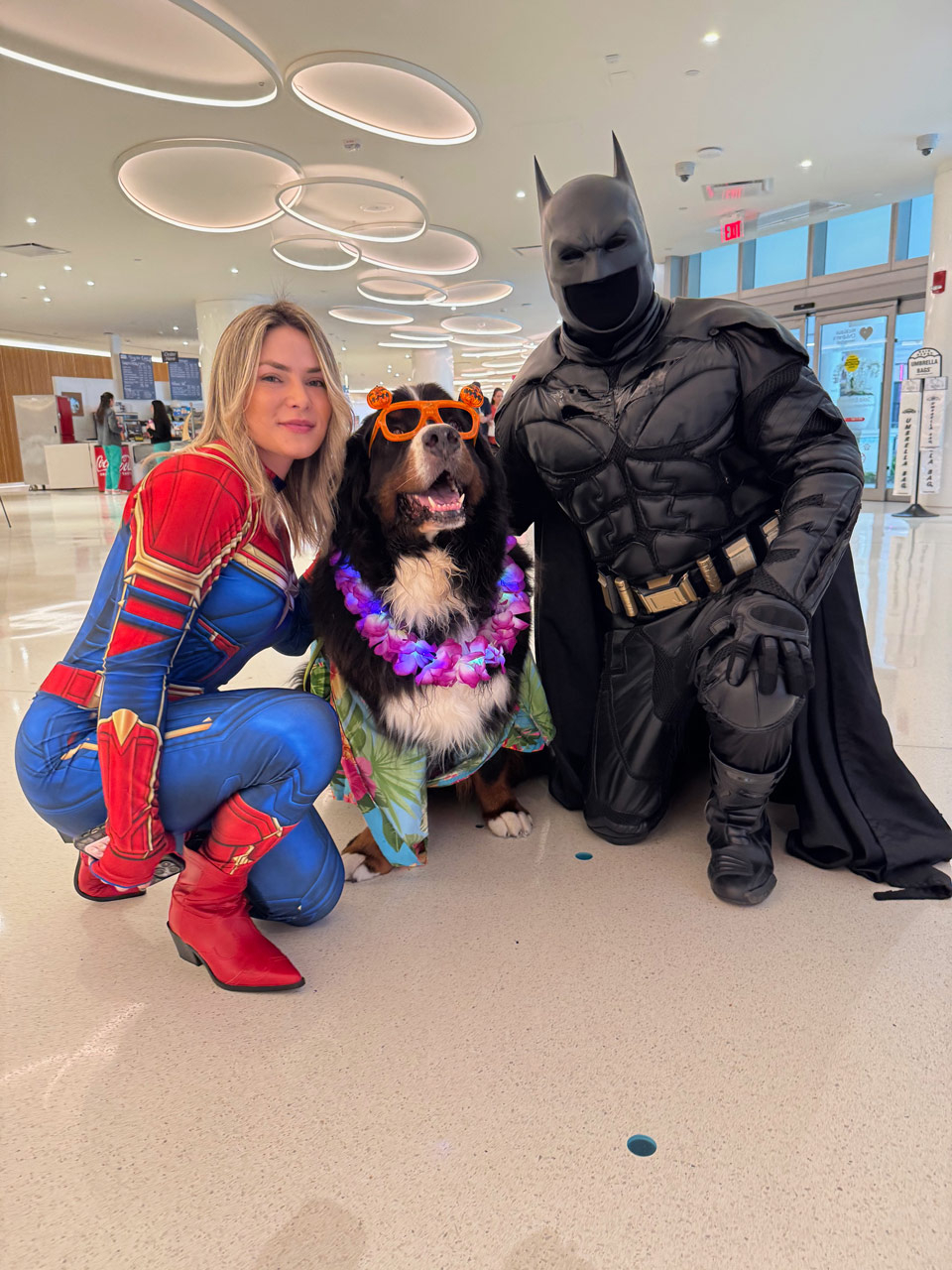 Hallowen by Apollo at Nicklaus Childrens Hospital - Oct 17, 2024 | Alexandra Ramos Therapy Animals