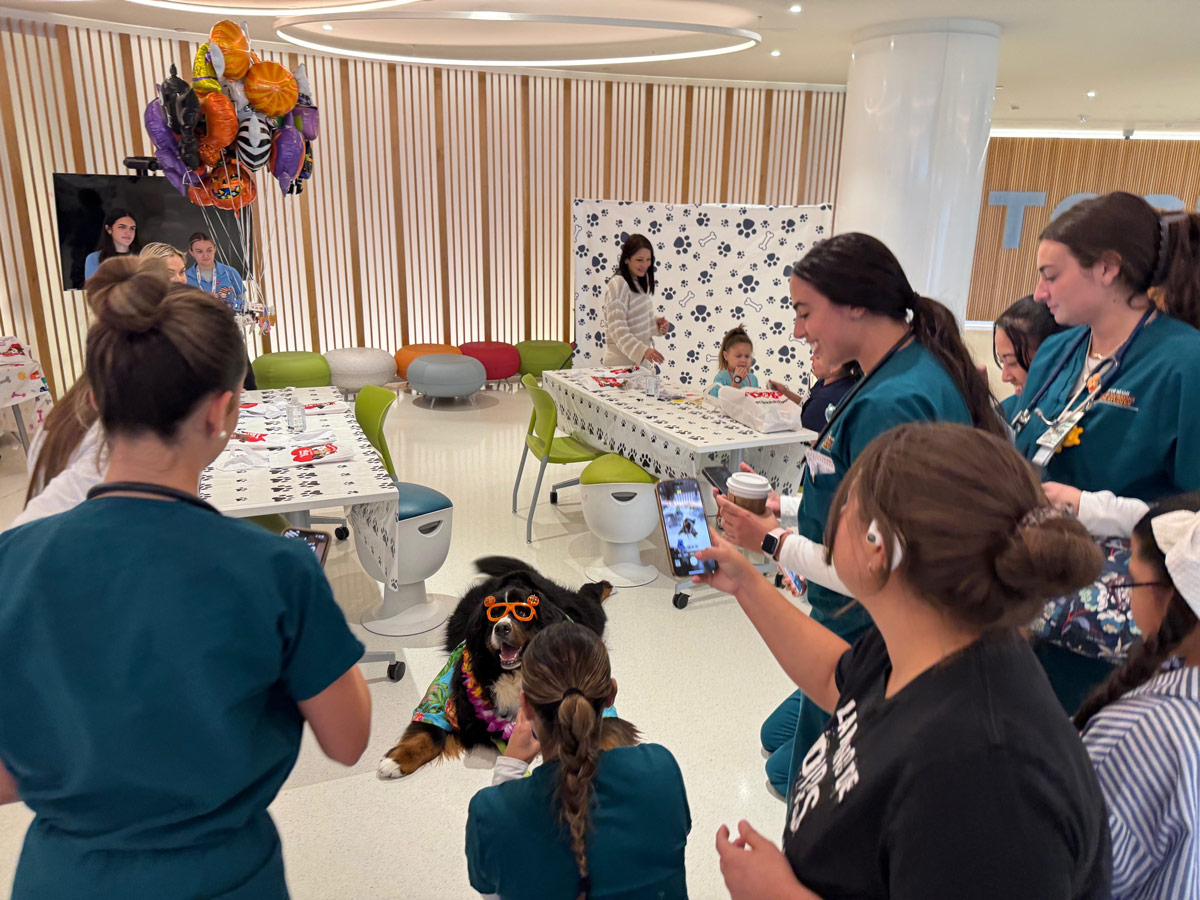 Hallowen by Apollo at Nicklaus Childrens Hospital - Oct 17, 2024 | Alexandra Ramos Therapy Animals