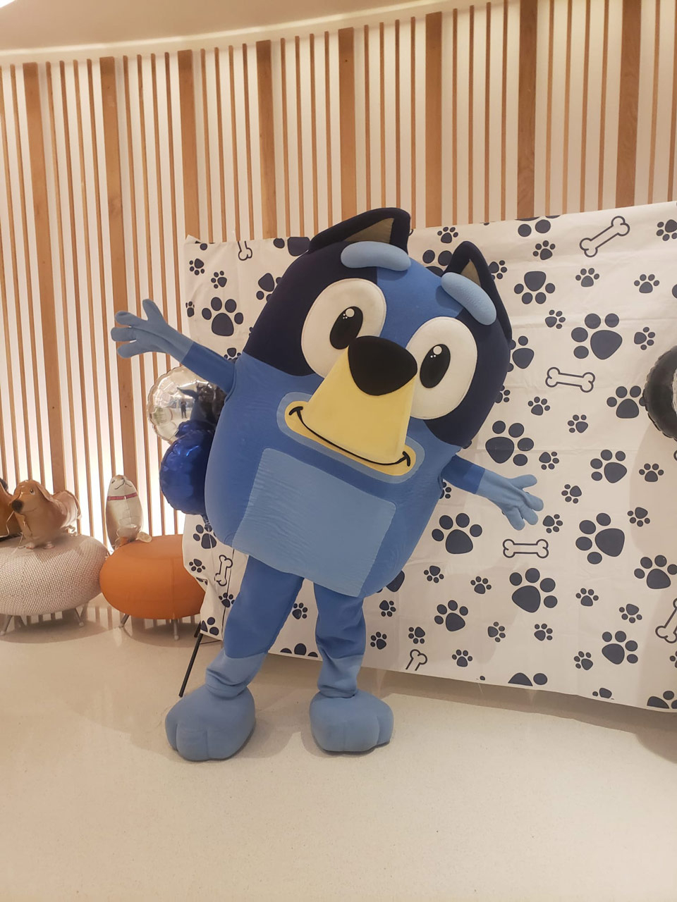 Happy National Dog Day at Nicklaus Children’s Hospital - August 2024 | Alexandra Ramos Therapy Animals