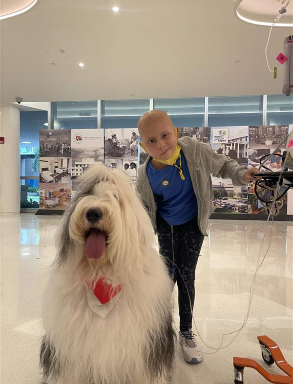 Happy National Dog Day at Nicklaus Children’s Hospital - August 2024 | Alexandra Ramos Therapy Animals