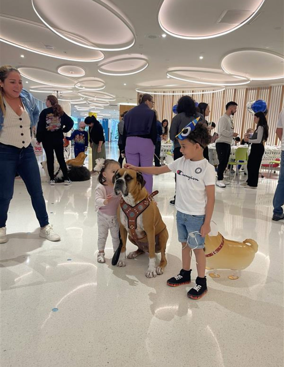 Happy National Dog Day at Nicklaus Children’s Hospital - August 2024 | Alexandra Ramos Therapy Animals