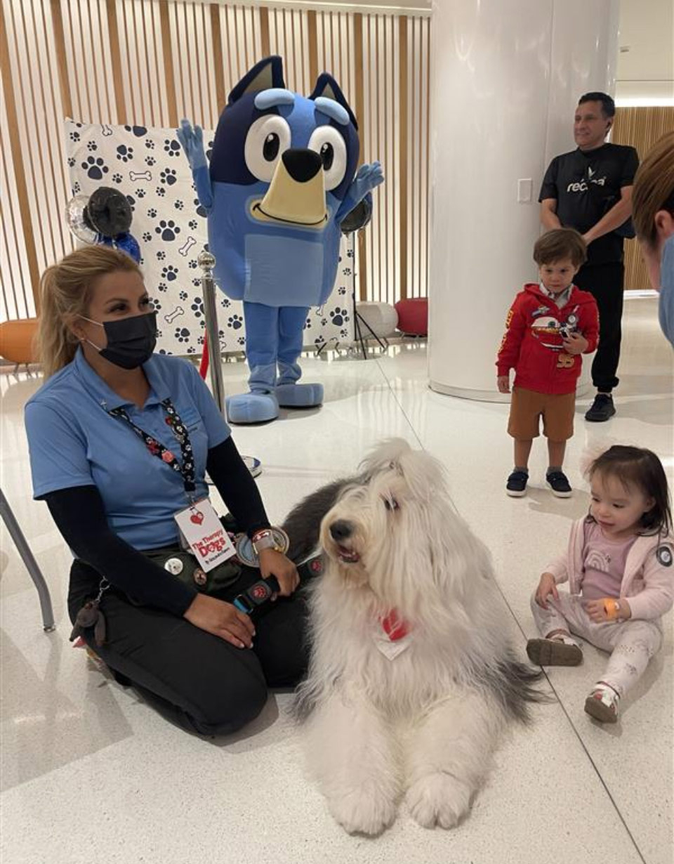 Happy National Dog Day at Nicklaus Children’s Hospital - August 2024 | Alexandra Ramos Therapy Animals