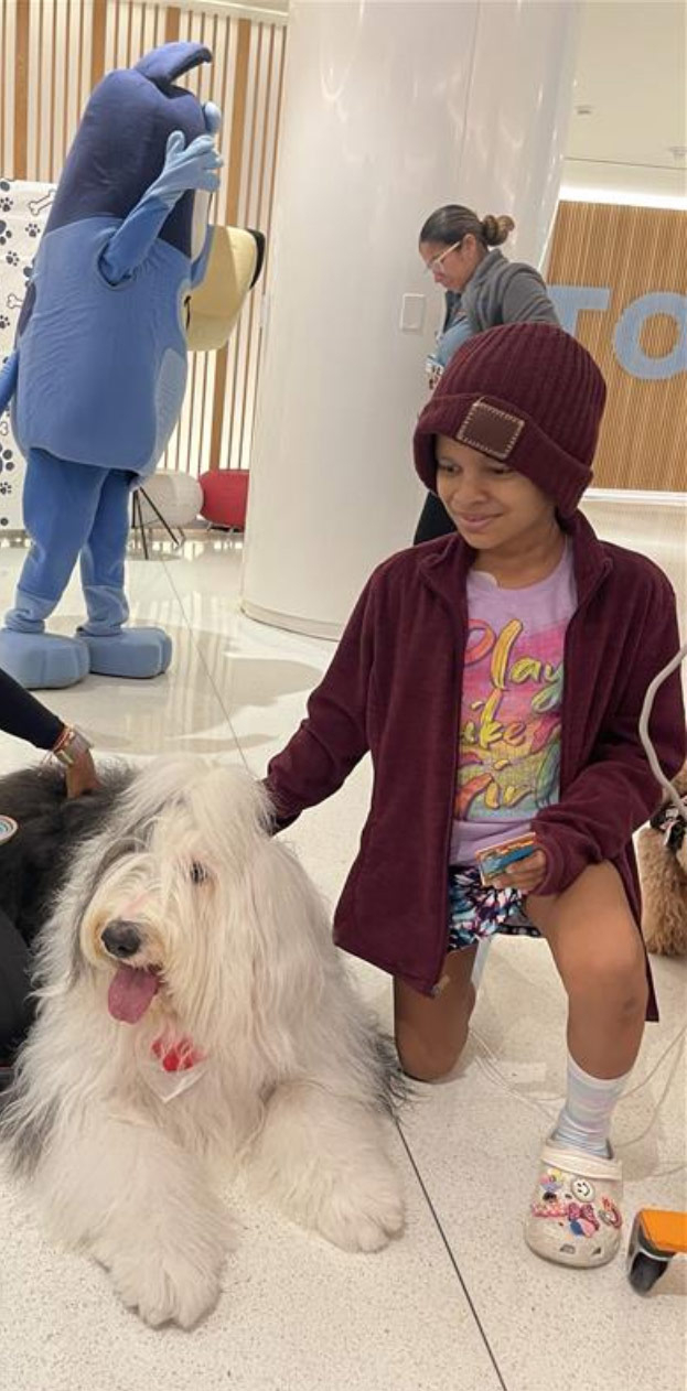 Happy National Dog Day at Nicklaus Children’s Hospital - August 2024 | Alexandra Ramos Therapy Animals