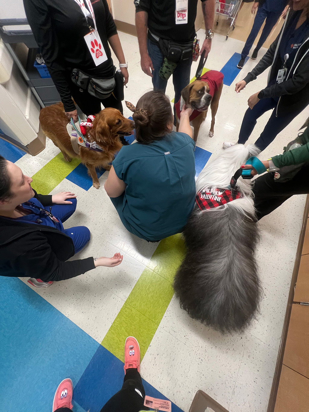 February 13, 2025 | Alexandra Ramos Therapy Animals