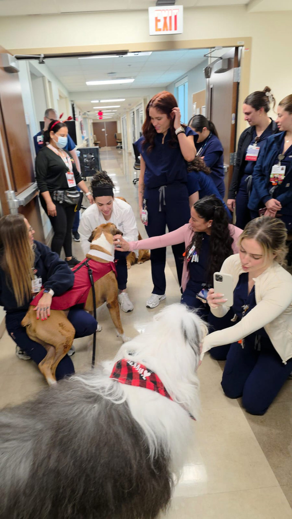  February 13, 2025 | Alexandra Ramos Therapy Animals