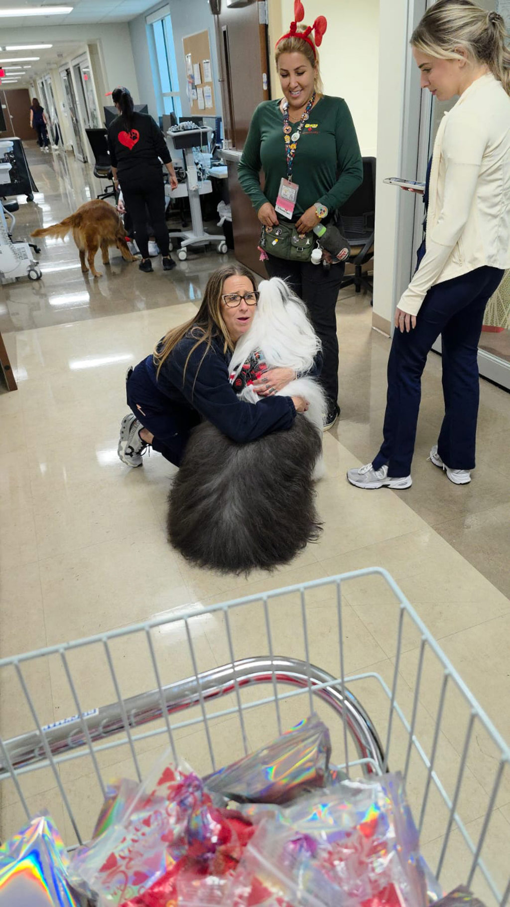  February 13, 2025 | Alexandra Ramos Therapy Animals