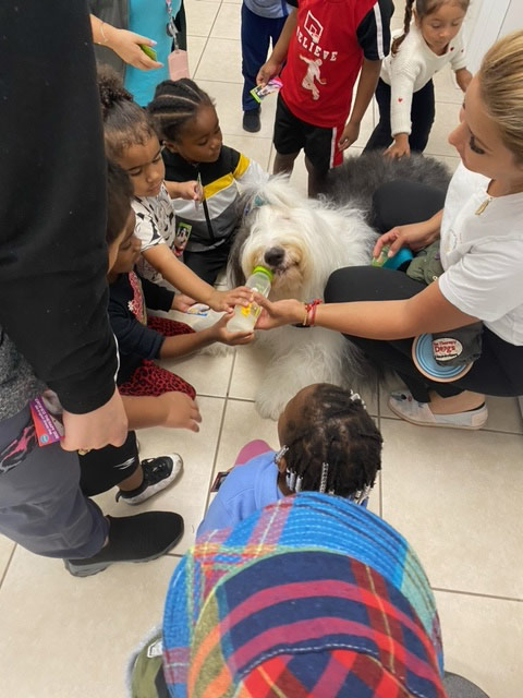 Le Jardin visit by Thor - May 2024 | Alexandra Ramos Therapy Animals