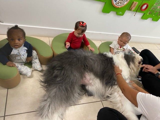 Le Jardin visit by Thor - May 2024 | Alexandra Ramos Therapy Animals
