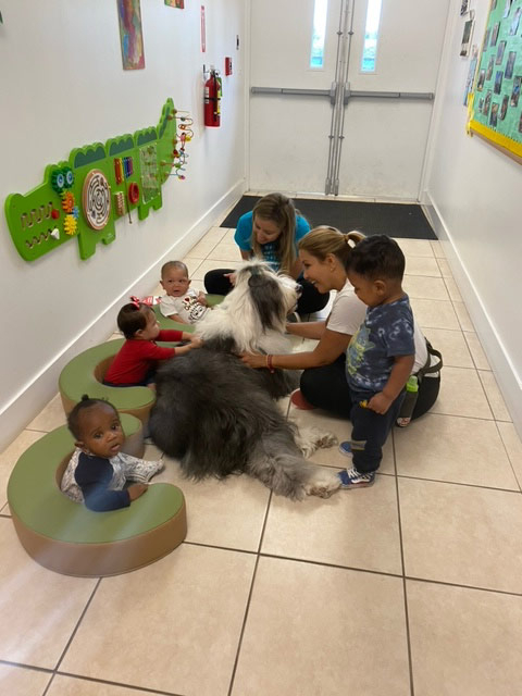 Le Jardin visit by Thor - May 2024 | Alexandra Ramos Therapy Animals