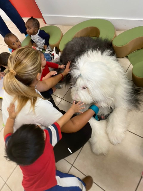 Le Jardin visit by Thor - May 2024 | Alexandra Ramos Therapy Animals