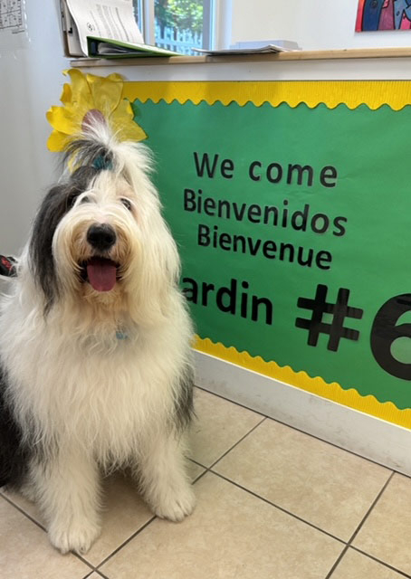 Le Jardin visit by Thor - May 2024 | Alexandra Ramos Therapy Animals