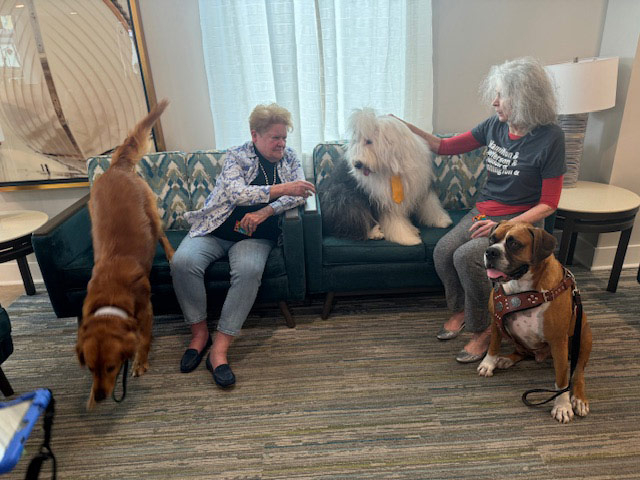 Mirabelle visit by Thor - August 2024 | Alexandra Ramos Therapy Animals