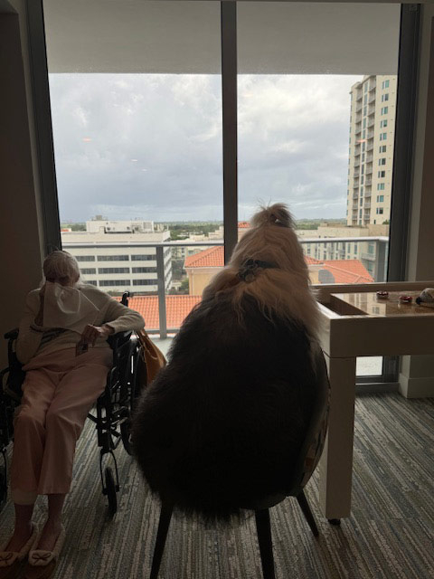 Mirabelle visit by Thor - August 2024 | Alexandra Ramos Therapy Animals